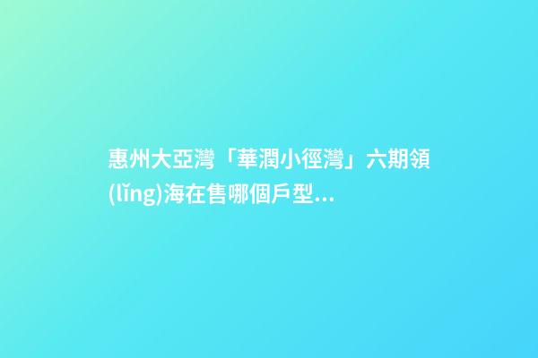 惠州大亞灣「華潤小徑灣」六期領(lǐng)海在售哪個戶型 戶型圖房價(jià)